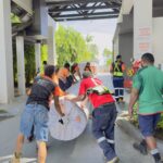 viber_image_2025-04-22_14-29-19-709