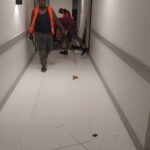 viber_image_2025-04-22_14-54-40-606